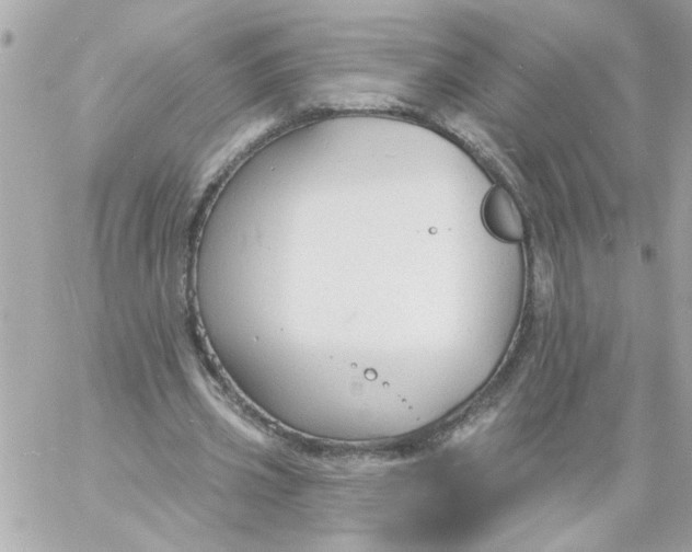 X0000057090533200510071913