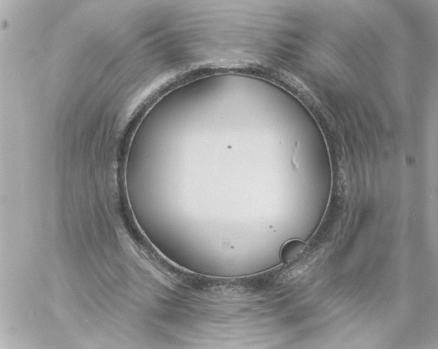 X0000057090535200510071913