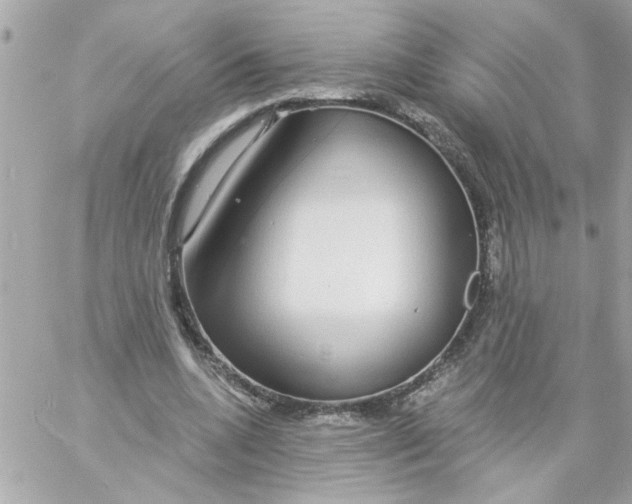 X0000057090536200510071913