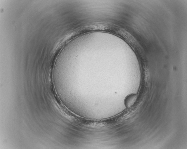 X0000057090537200510071913