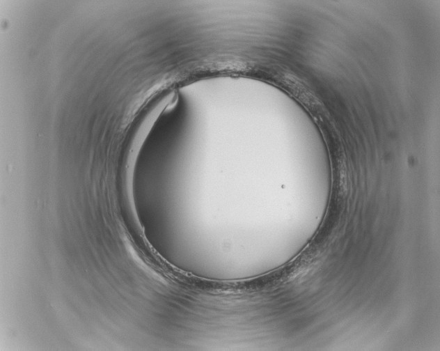 X0000057090538200510071914