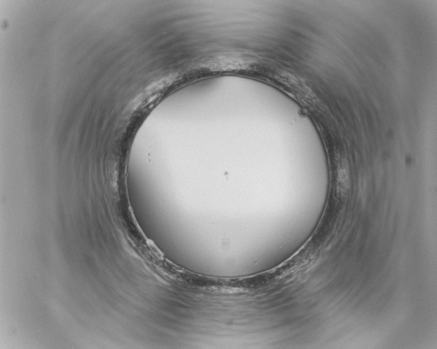 X0000057090539200510071914