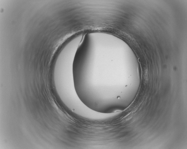 X0000057090540200510071914