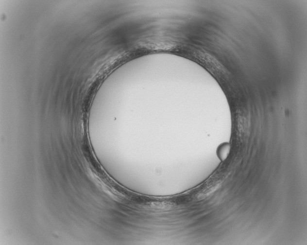 X0000057090541200510071914