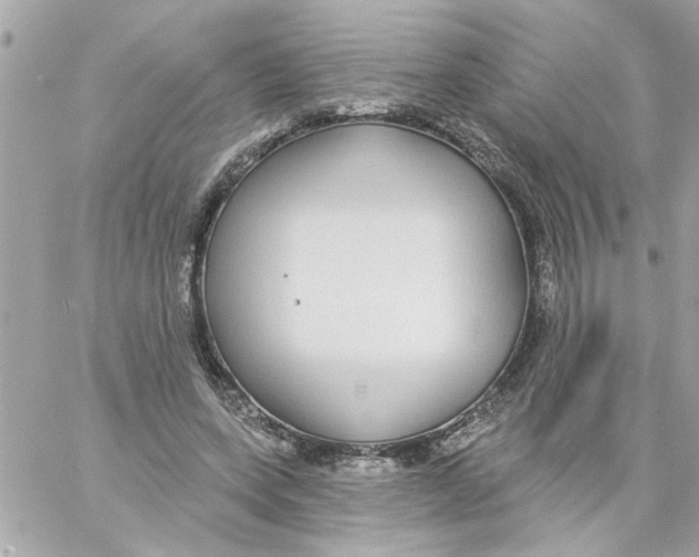 X0000057090543200510071914