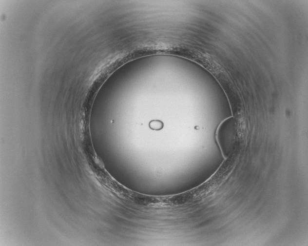 X0000057090544200510071914