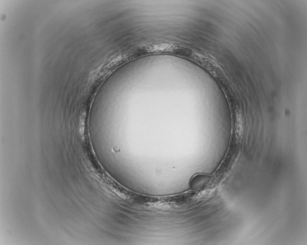 X0000057090545200510071914