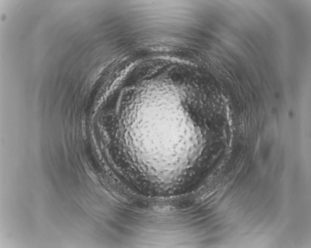 X0000057090547200510071914