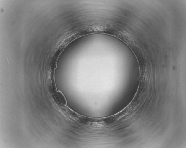 X0000057090548200510071914