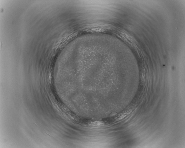 X0000057090551200510071914