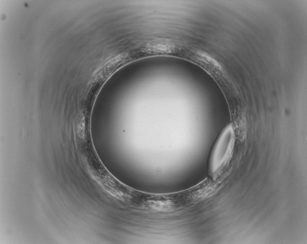 X0000057090552200510071914