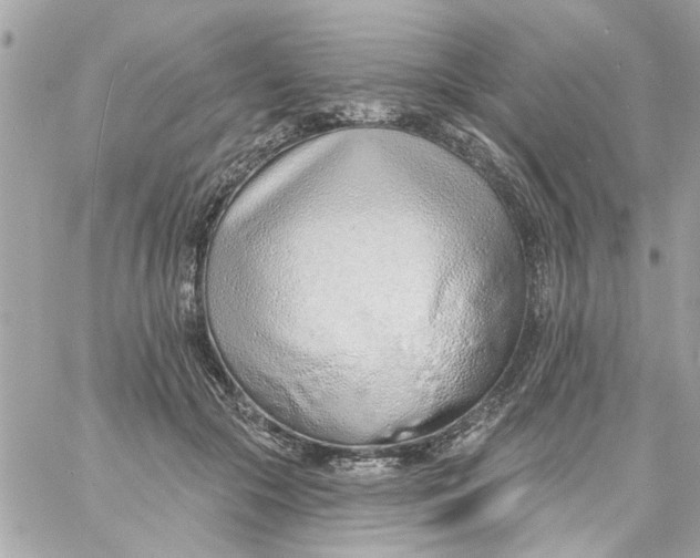 X0000057090553200510071914