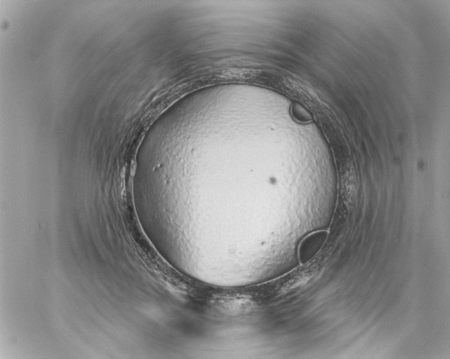 X0000057090554200510071914