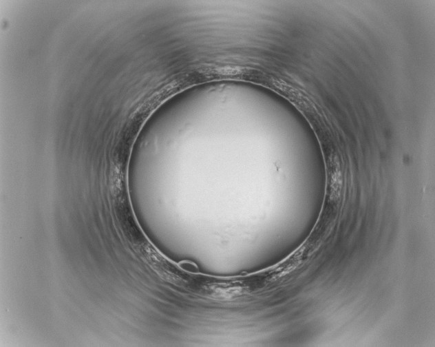 X0000057090555200510071914