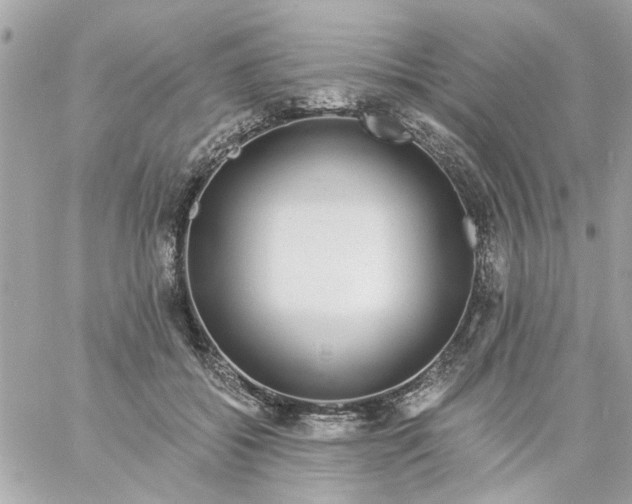 X0000057090556200510071914