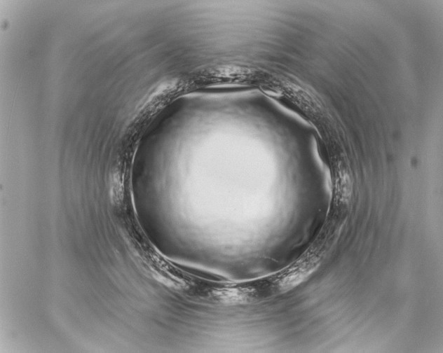 X0000057090558200510071914