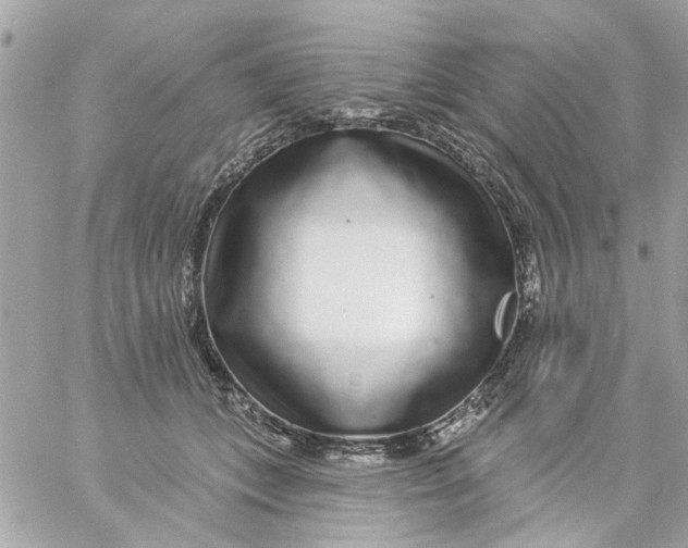 X0000057090559200510071914