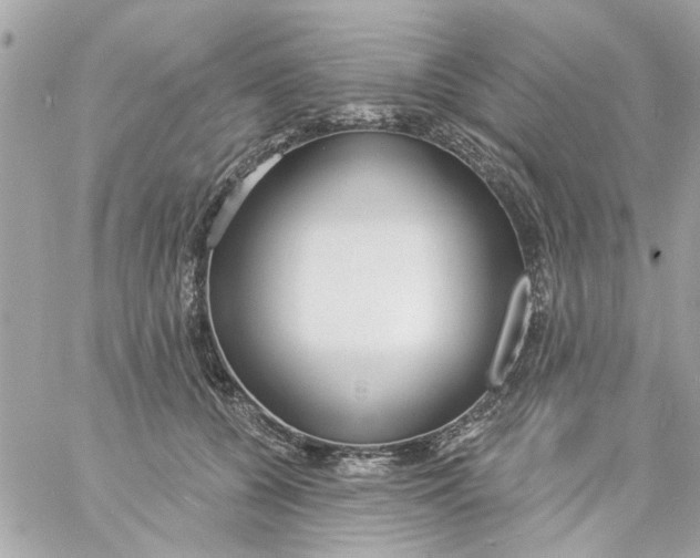 X0000057090560200510071914