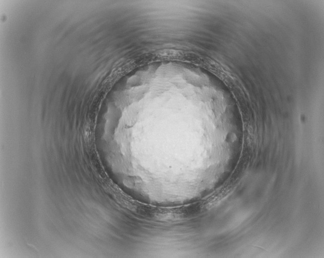 X0000057090561200510071914