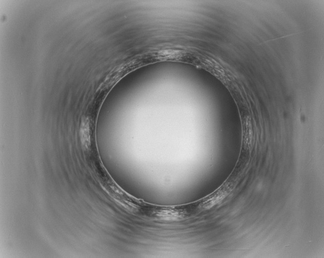 X0000057090562200510071914