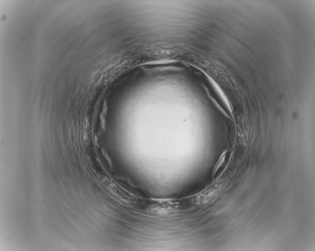 X0000057090563200510071914