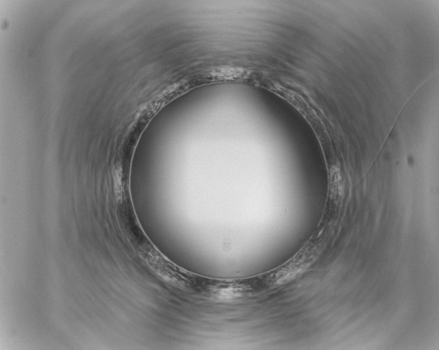 X0000057090564200510071914