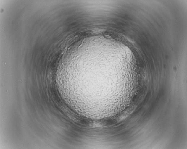 X0000057090565200510071914