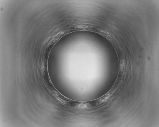 X0000057090566200510071914