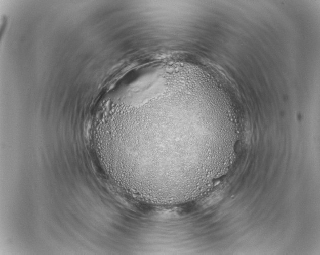 X0000057090569200510071914