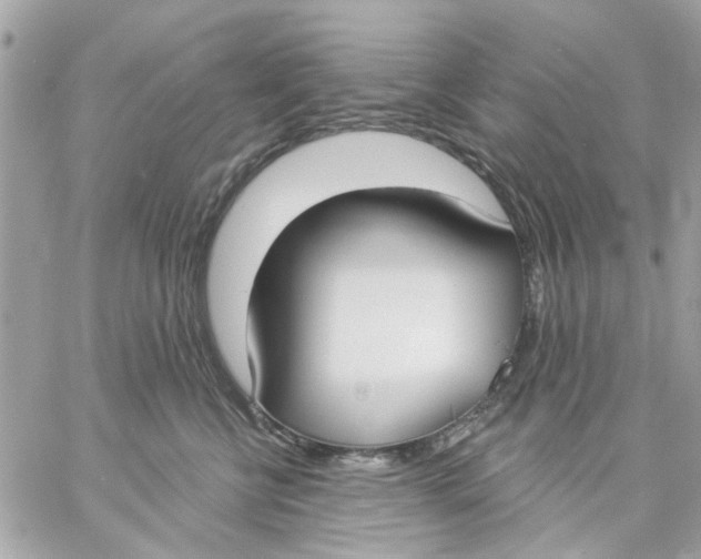 X0000057090570200510071914