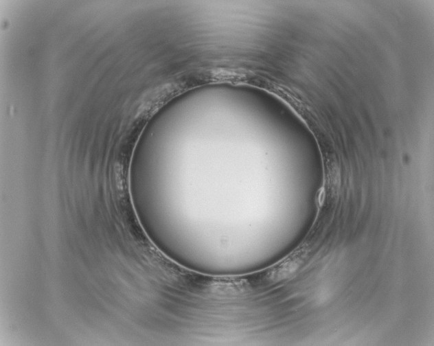 X0000057090571200510071914