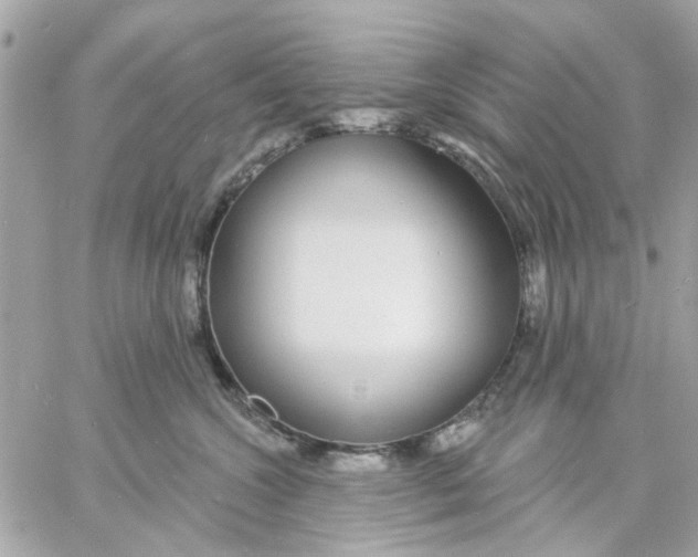 X0000057090572200510071914