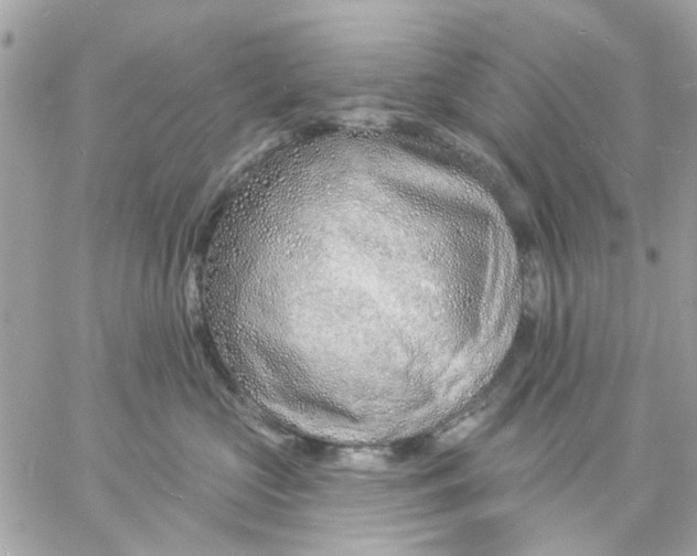 X0000057090573200510071914