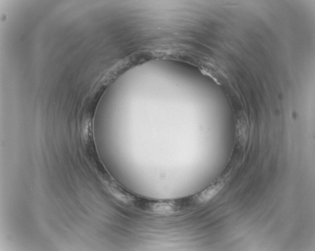 X0000057090574200510071914