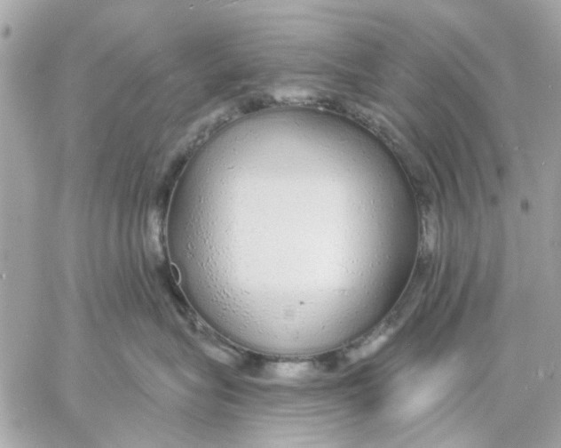 X0000057090575200510071914