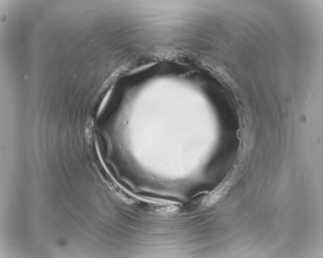 X0000057090576200510071914