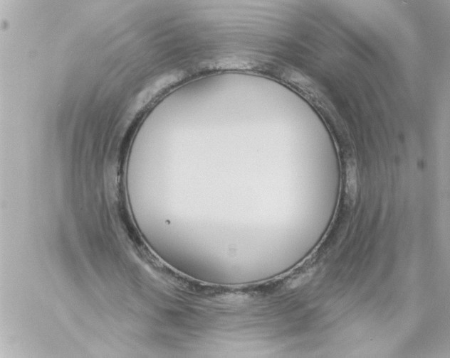 X0000057090578200510071913