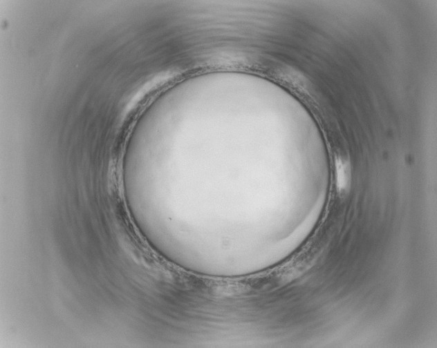 X0000057090579200510071913