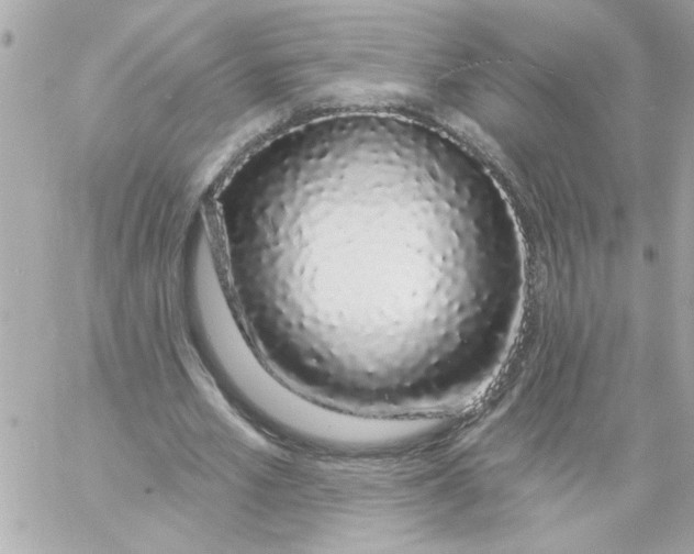 X0000057090581200510071913