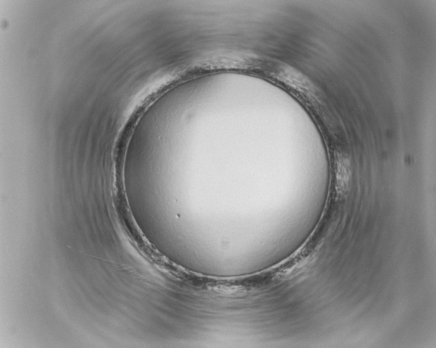 X0000057090582200510071913