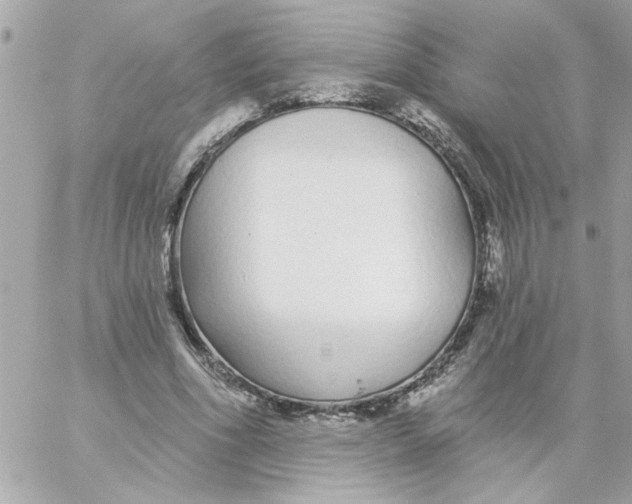 X0000057090586200510071913