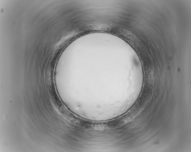 X0000057090587200510071913