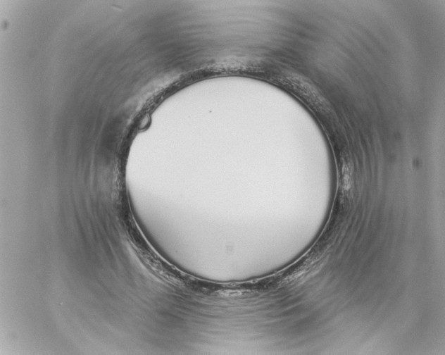 X0000057090588200510071913