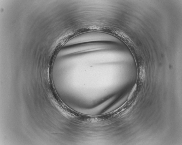 X0000057090589200510071913