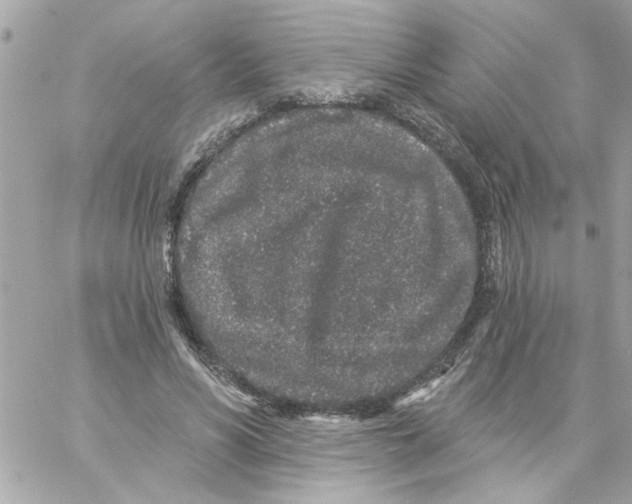 X0000057090590200510071913