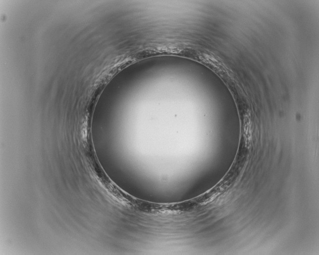 X0000057090593200510071913