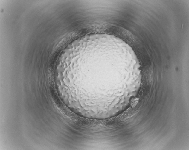 X0000057090594200510071913