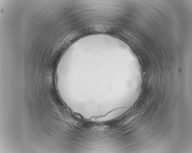 X0000057090595200510071913