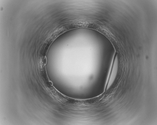 X0000057090597200510071913