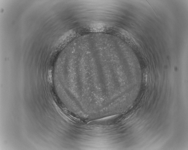 X0000057090598200510071913